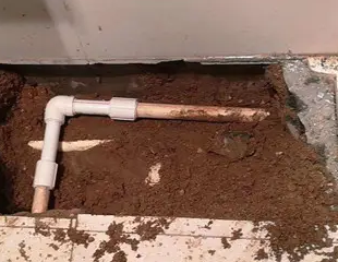 隆回测漏水哪家好