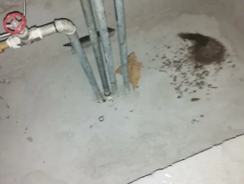 隆回卫生间测漏水价格明细