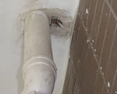 隆回漏水检测哪家好